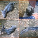 성남2길 이미지