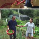 서야농장 이미지