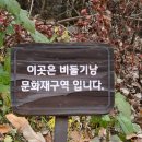 저두 출렁다리입구 | 포천 Y자 출렁다리, Y형 출렁다리, 비둘기낭 폭포 방문 후기 주차 및 교통