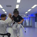 삼봉태권도 이미지