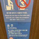 커먼독 | [호주 워홀] 외노자 만득이 (브리즈번 공항/ 호주 입국심사 담배/ 옵터스 유심/ 브리즈번 yha 백팩커스...