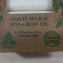 보태니컬 이미지