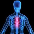 흉추통(Thoracic back pain) 이미지