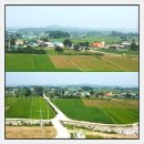 어단2리 이미지