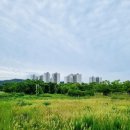 미단씨티광장 이미지