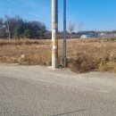 덕진농장 이미지