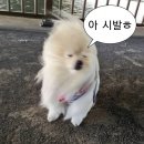 대수길 | [EP.4] 제주대 학점교류를 가보아요 ! ( with. 윤효인 ) | 3주 차 일상 | 🏝