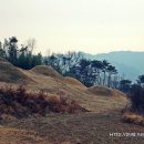 상주 병풍산 고분군 이미지