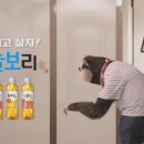 하늘보리 이미지