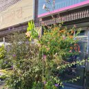 현미용실 이미지