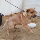 용소골농장 이미지