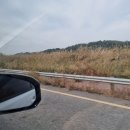[궁평항 차박] 경기도 화성 차박성지 차크닉 다녀온 자세한 후기 (이용요금/화장실/주변시설)