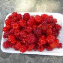 여수낚시터 이미지