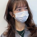 JOO 강아지미용실 | 분당 정자동에서 찾은 힐링 공간! 인생 머리 발견한 미금역미용실 후기