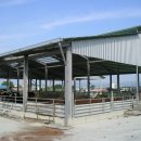 진규목장 이미지