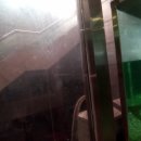 코아사우나 이미지