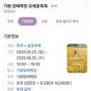 6월의 목장 티스토리