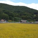 지동리경로당 이미지