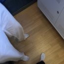 인디안노래방 네이버블로그