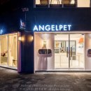 엔젤펫애견샵 이미지