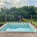 제주조우아 조수 이미지