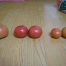 효정농장 이미지