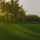 그레이스밸리 이미지