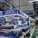 삼척 쏠비치 근처 회포장 맛집 신선도 미쳤던 삼척대왕횟집 후기