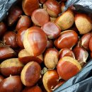 알밤약국 이미지