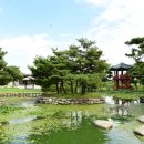 여주스파이더