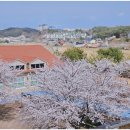 디자인씽킹뮤지엄 이미지