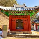 삼가향어 이미지