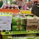 한농상사 이미지