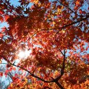 NR-3[경충대로]-상-581 | [곤지암역맛집,화담숲맛집]청국장과보리밥&amp;레이지먼데이