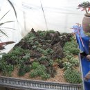 둘리 농장 이미지