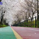 송정제방 이미지