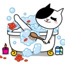 아쿠아모텔 이미지