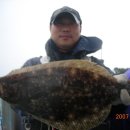 호진E(구 호진3) 이미지