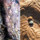 몽돌바다캠핑장 이미지