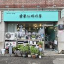 살롱드마카롱