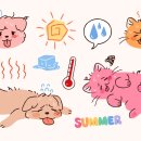 태안동물병원 이미지