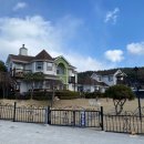 안면애견펜션프리독 | 안면애견펜션프리독 | 태안 안면도 애견동반 펜션(A동 101호)