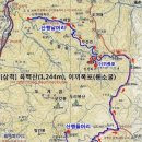 7월 16일 육백산(삼척) 1,244m 산행 예약.^^ 이미지