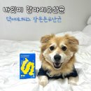 이너피스 | 몽실ฅ 강아지유산균 : 바잇미 닥터이너피스 장튼튼 유산균 후기