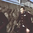 마린크루 이미지