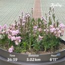 2026 week 22 배고픔을 즐기자