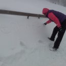 연준목장 이미지