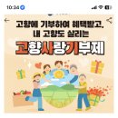 캐시워크 고향사랑 이미지