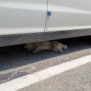 땅끝모노레일매표소 주차장 이미지