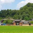 일직점곡로(일직면) 이미지